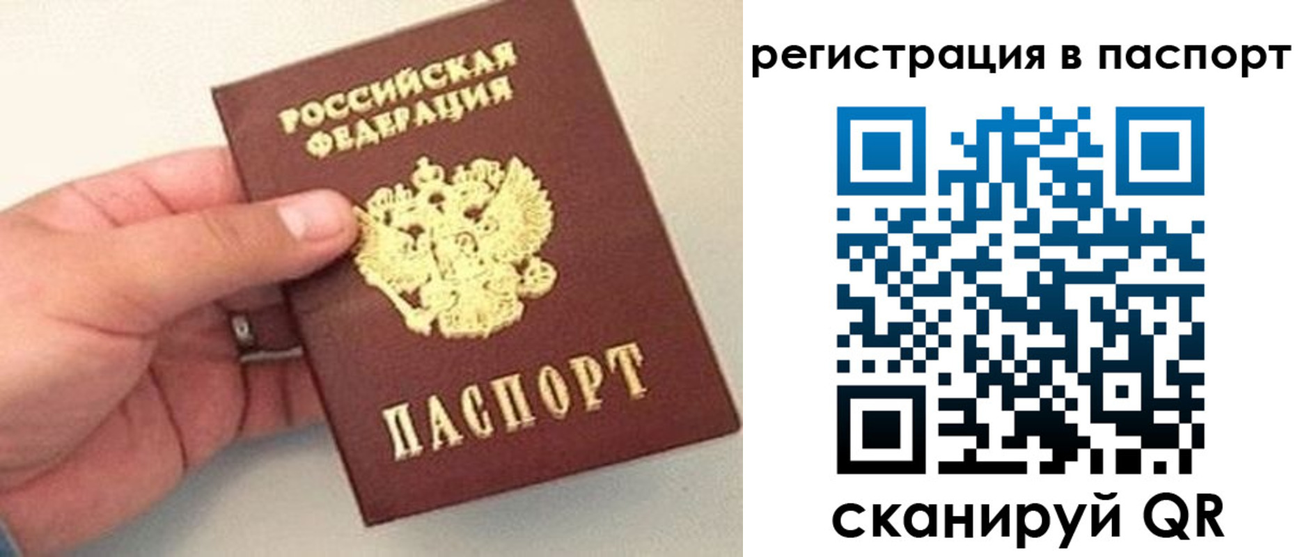 прописка законно в Камышине